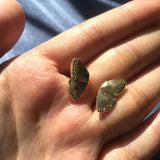 Butterfly Wing Stud Earrings